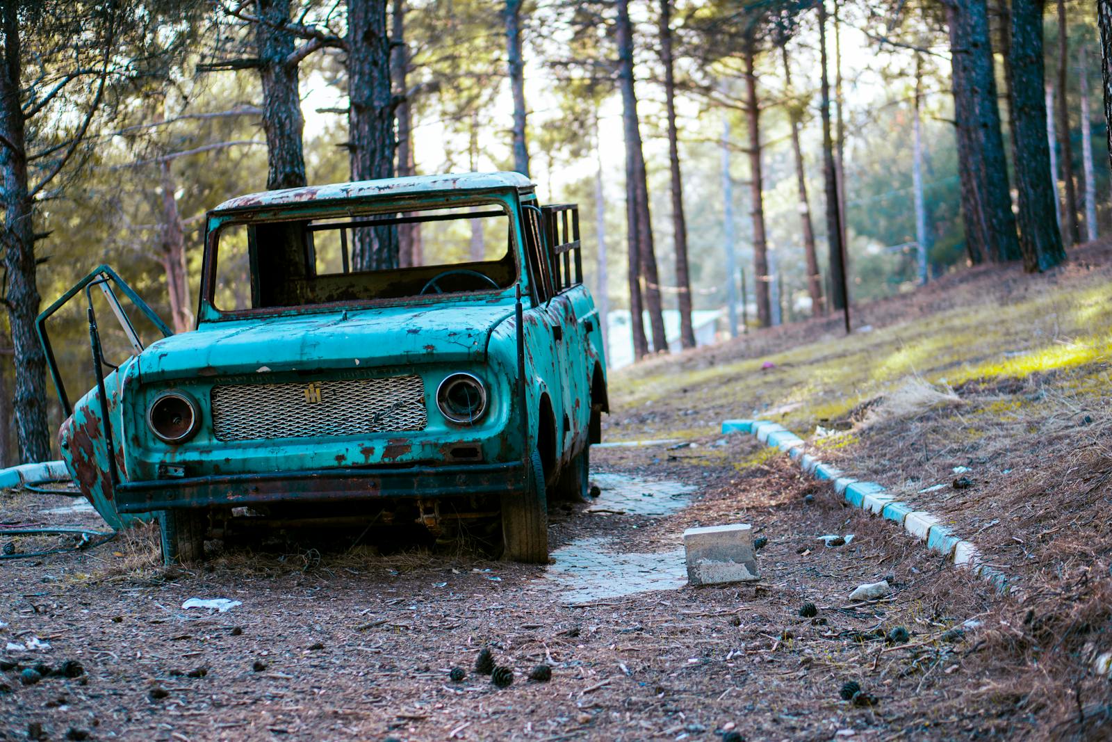 Abandoned Truck Parked on Forest